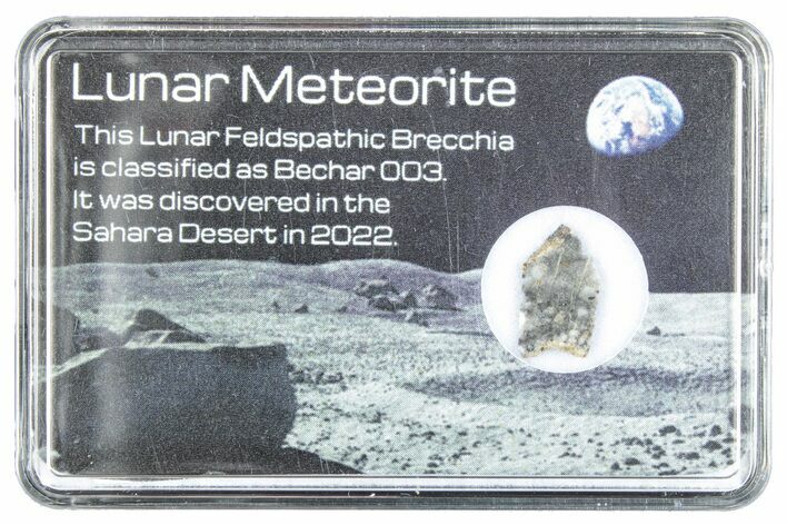 Polished Lunar Meteorite Slice ( g) - Bechar #288378